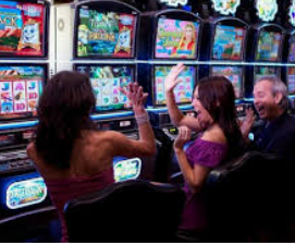 ledong网页版入口2024最新版