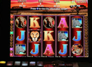 ledong网页版入口最新版