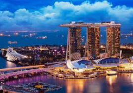 ledong网页版入口客户端