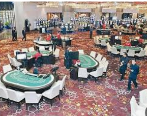 ledong网页版入口手机版